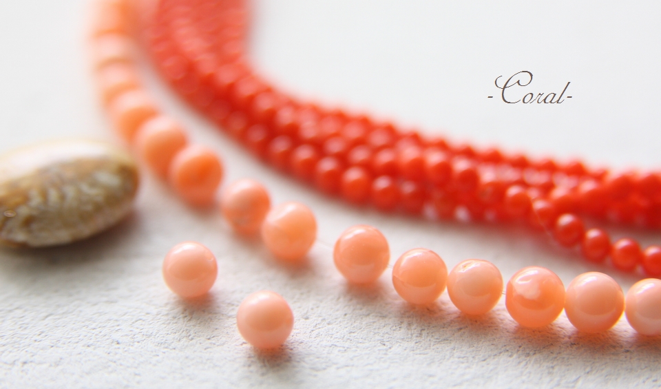 コーラル(珊瑚)