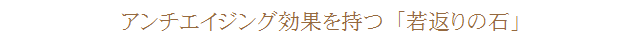アンチエイジング効果を持つ「若返りの石」